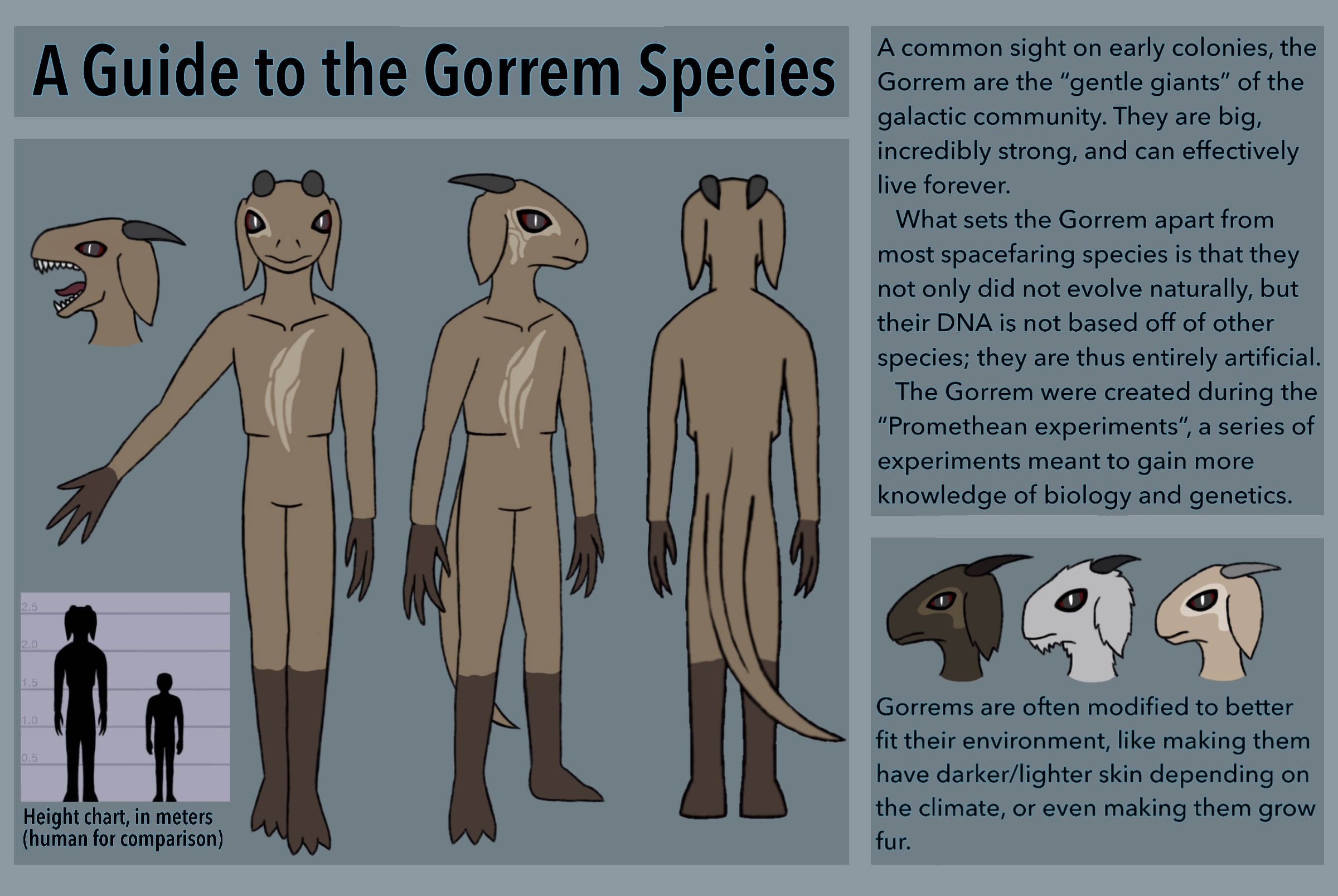 A species reference for the Gorrem, one of many species in my sci-fi setting