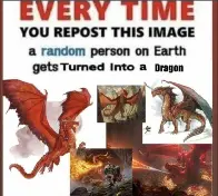 dragon_irl