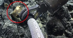 Scientists Recovered That Golden "Orb" From the Bottom of the Ocean and It Looks Different Now