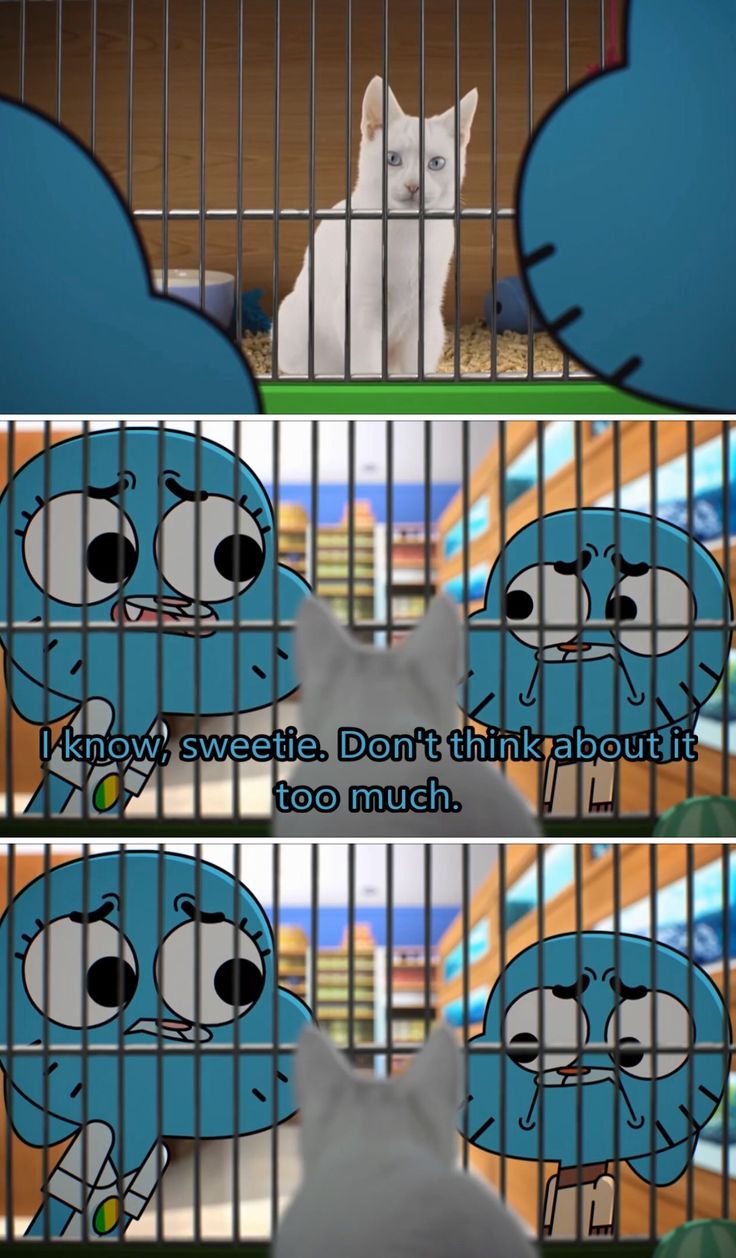 Two anthropomorphic cats from a popular cartoon (the amazing world of gumball) peer into a cage with a realistic cat. one tells the other "not to think about it too much"