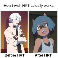 [Transfem] If only HRT can turn me into a tanuki girl...