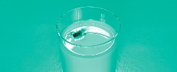 If a Fly Lands in Your Drink, Should You Still Drink It?