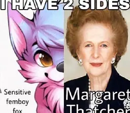 furry🇬🇧irl