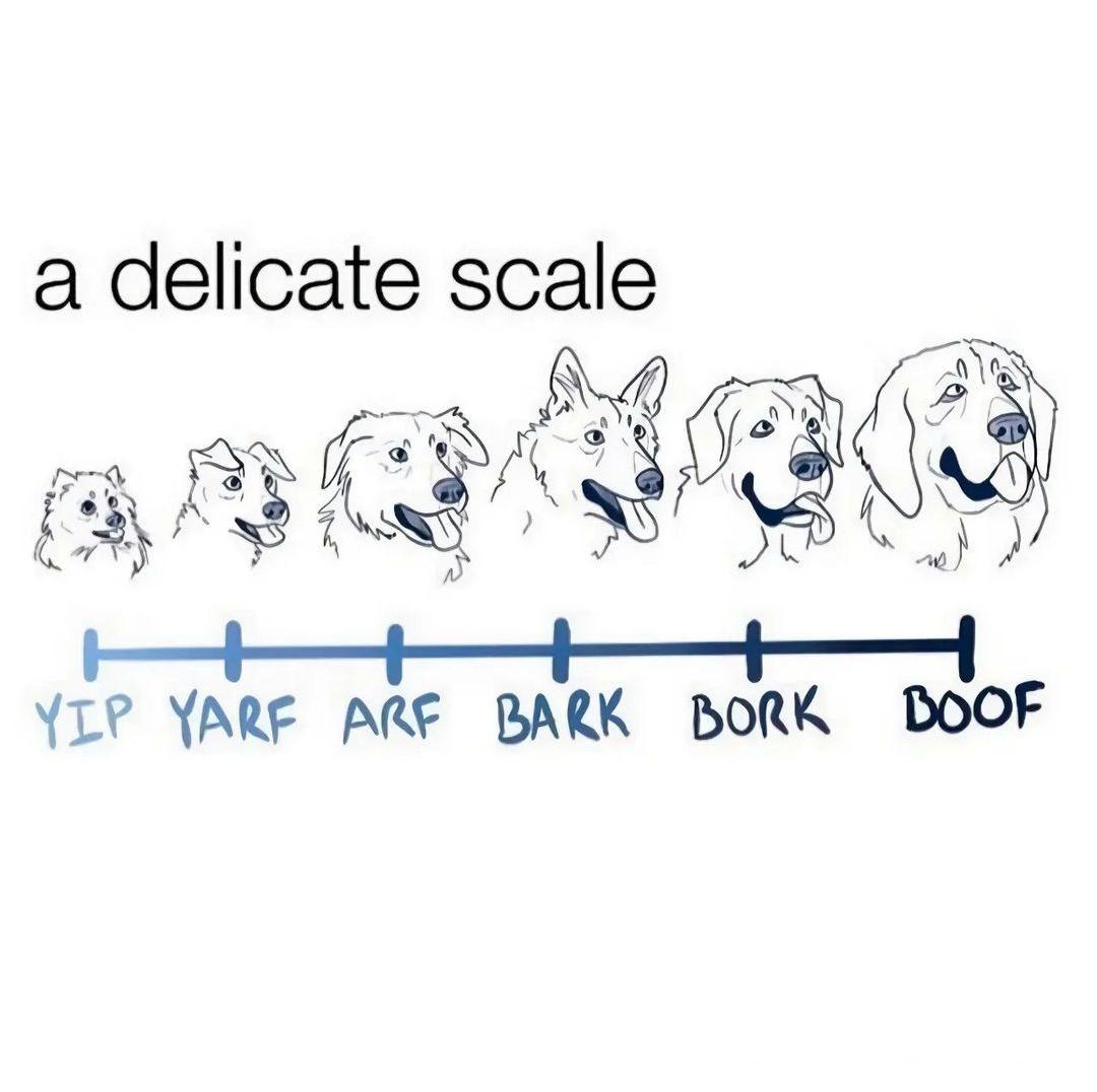 Dog Scale