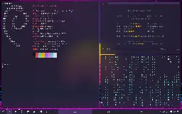 [DWM] Synthwave setup in Debian