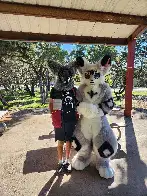 Local Furmeet